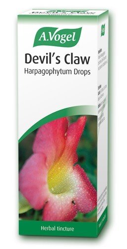 A Vogel Devil's Claw Harpagophytum oral drops 50ml