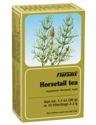 Horseyail Tea